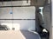 2026 Mercedes-Benz Sprinter Cargo Van 2500 High Roof I4 Diesel HO 144 AWD